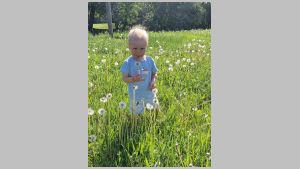 2024 Lennard võilille seemnetega.jpeg